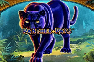 Panther Pays - SIGAMEN137