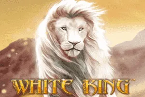 White King - SIGAMEN137