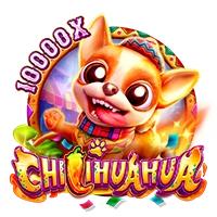 Facai : CHILIHUAHUA - SIGAMEN137
