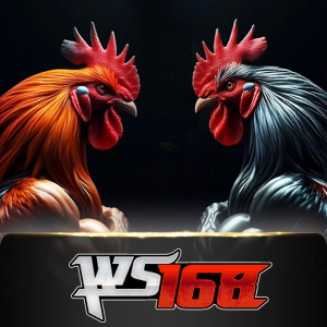 Ws168 Sabung - SIGAMEN137