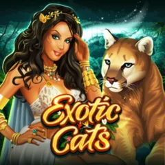 Exotic Cats - SIGAMEN137