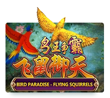 Bird Paradise - SIGAMEN137