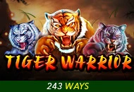 Spadegaming : Tiger Warrior - SIGAMEN137