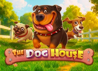 Pragmatic : The Dog House - SIGAMEN137