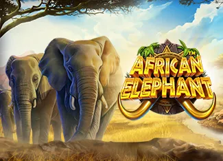 Pragmatic : African Elephant - SIGAMEN137